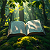 Article: Verses in the Verdure: The Quran Amidst Eternal Green